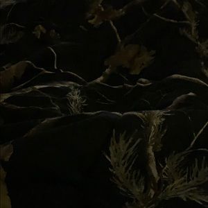 Meet your Posher, Kathryn